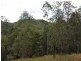 Lot 6 Long Flat Creek Road, Wittitrin NSW 2440