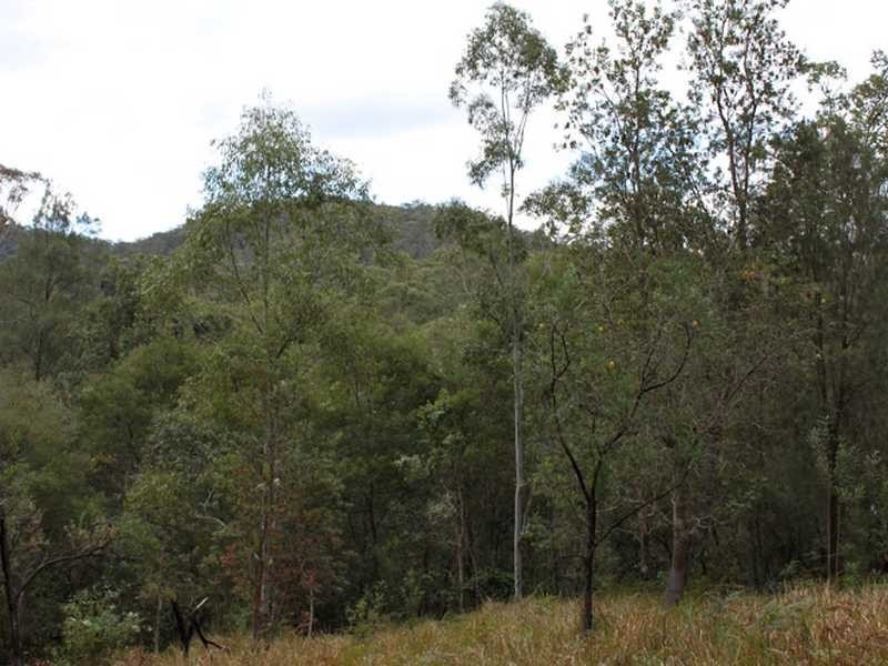 Lot 6 Long Flat Creek Road, Wittitrin NSW 2440