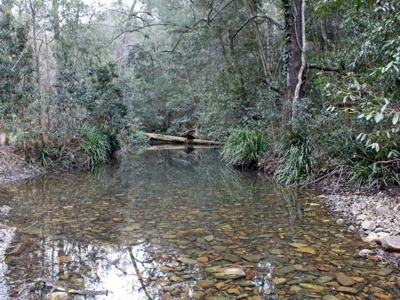 Lot 6 Long Flat Creek Road, Wittitrin NSW 2440