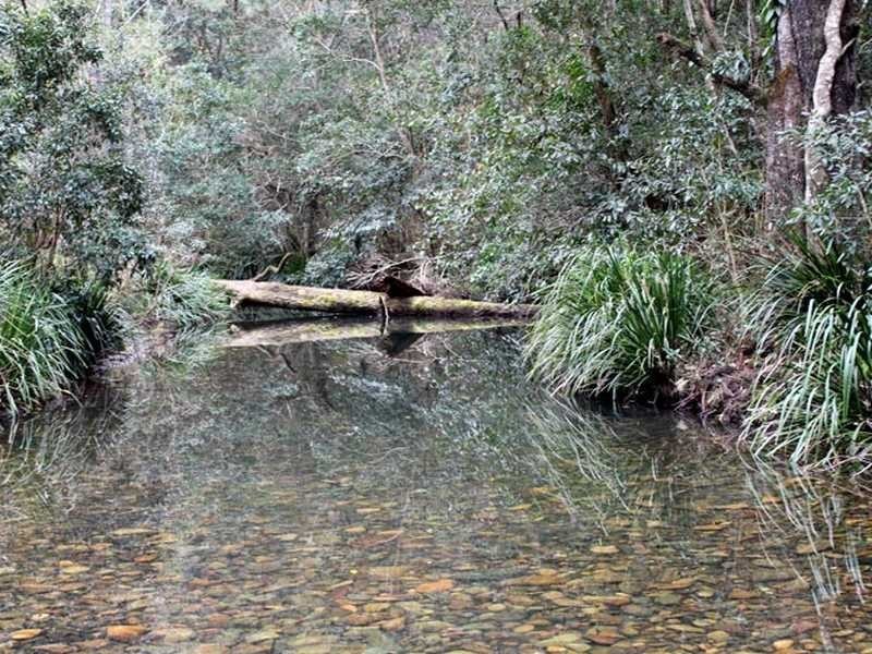 Lot 6 Long Flat Creek Road, Wittitrin NSW 2440