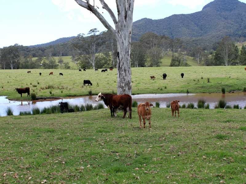 Tara Park Schmidts Access Road BELLBROOK VIA, Kempsey NSW 2440