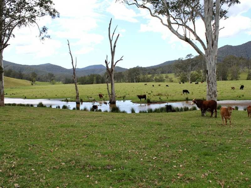 Tara Park Schmidts Access Road BELLBROOK VIA, Kempsey NSW 2440