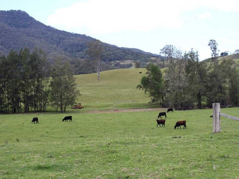 Tara Park Schmidts Access Road BELLBROOK VIA, Kempsey NSW 2440