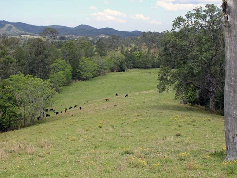 Tara Park Schmidts Access Road BELLBROOK VIA, Kempsey NSW 2440