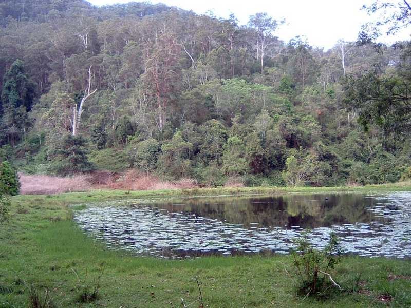 Lot 5 Armidale Road BELLBROOK VIA, Kempsey NSW 2440