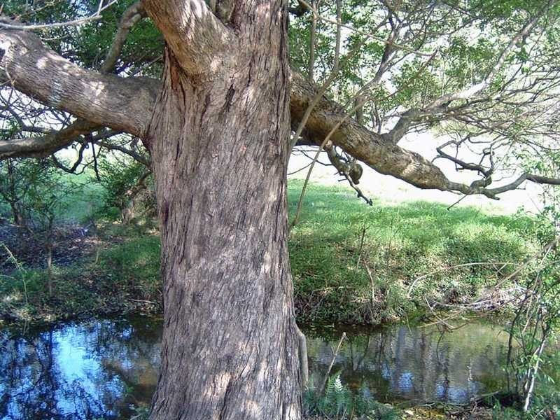 Lot 5 Armidale Road BELLBROOK VIA, Kempsey NSW 2440