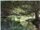 Lot 5 Armidale Road BELLBROOK VIA, Kempsey NSW 2440