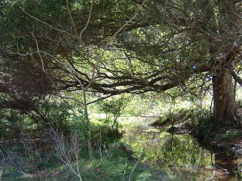 Lot 5 Armidale Road BELLBROOK VIA, Kempsey NSW 2440