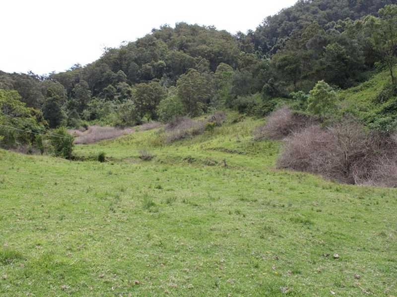 Lot 5 Armidale Road BELLBROOK VIA, Kempsey NSW 2440