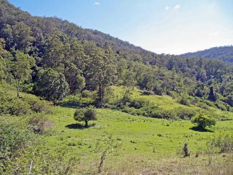Lot 5 Armidale Road, Bellbrook NSW 2440