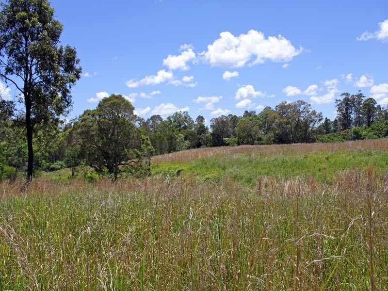 407 Silverwood Avenue TEMAGOG VIA, Kempsey NSW 2440