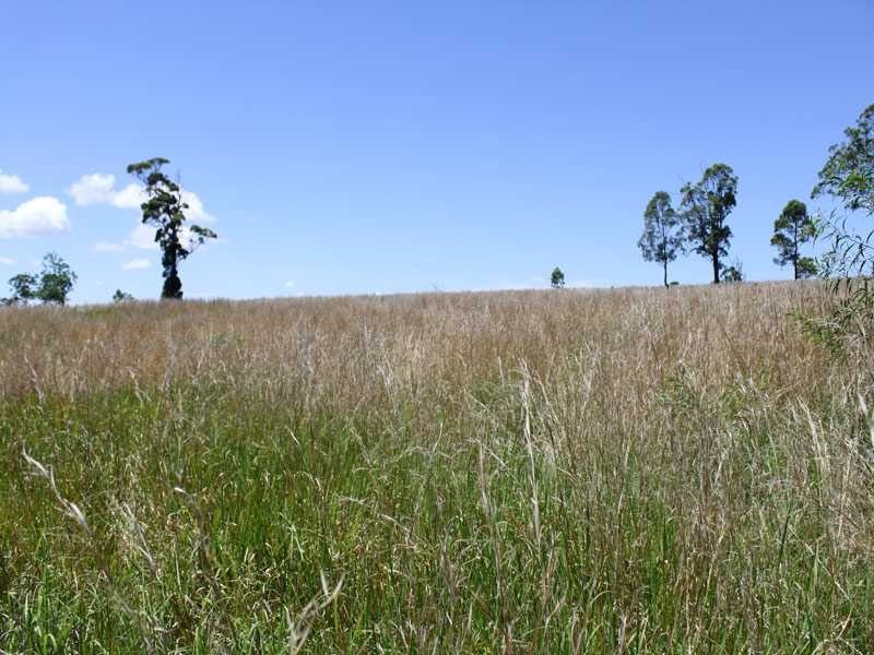 407 Silverwood Avenue TEMAGOG VIA, Kempsey NSW 2440