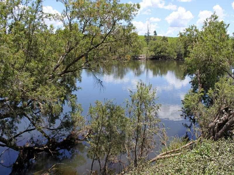 407 Silverwood Avenue TEMAGOG VIA, Kempsey NSW 2440