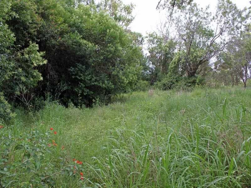 Lot 193 Heyson Street, Kempsey NSW 2440