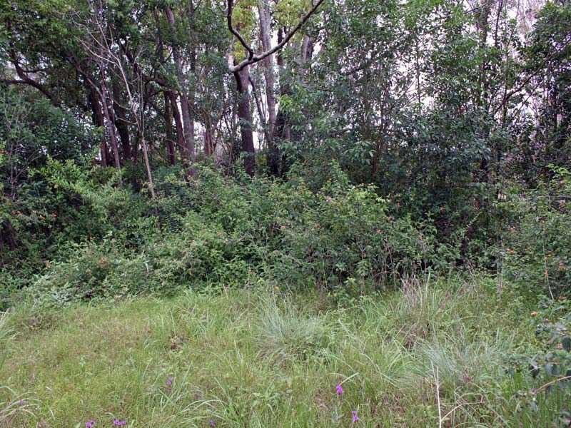 Lot 193 Heyson Street, Kempsey NSW 2440