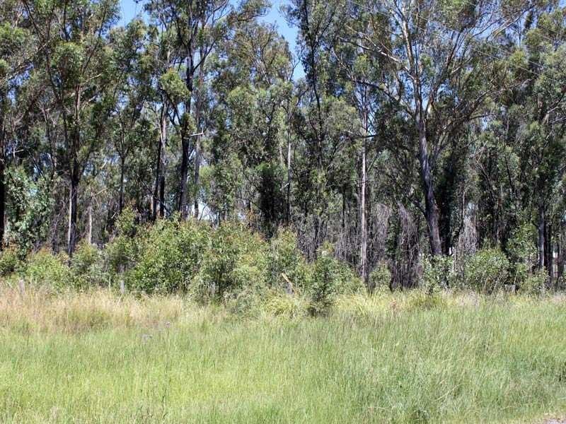 55 West Street, Kempsey NSW 2440