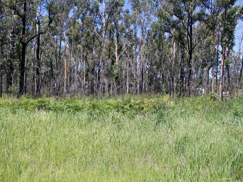 55 West Street, Kempsey NSW 2440