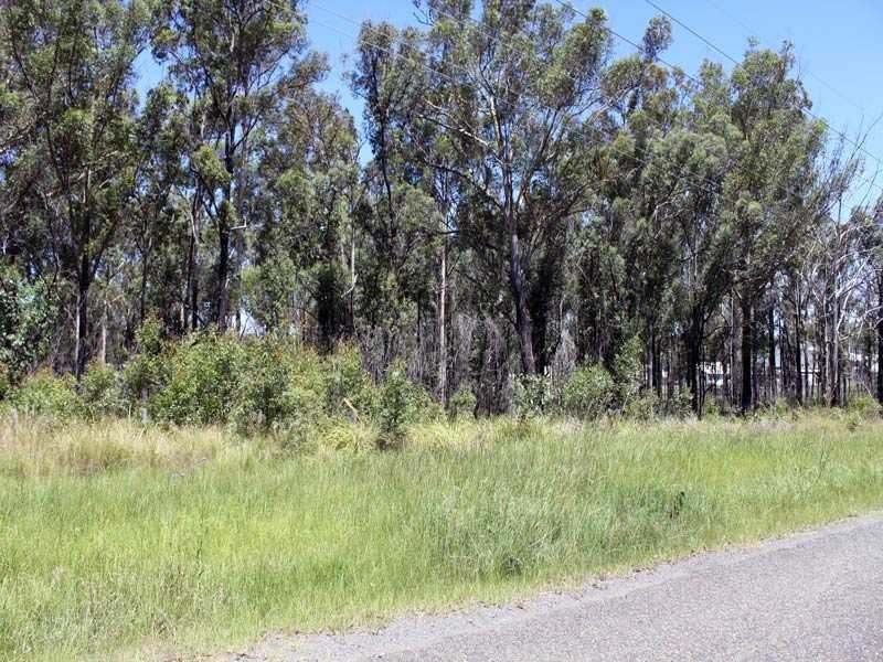 55 West Street, Kempsey NSW 2440