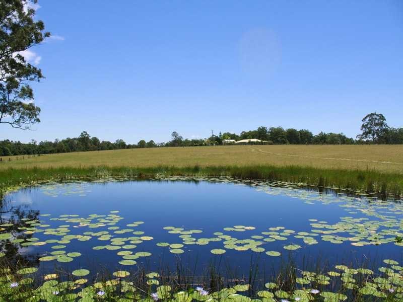 95 Owens Access COLLOMBATTI VIA, Kempsey NSW 2440