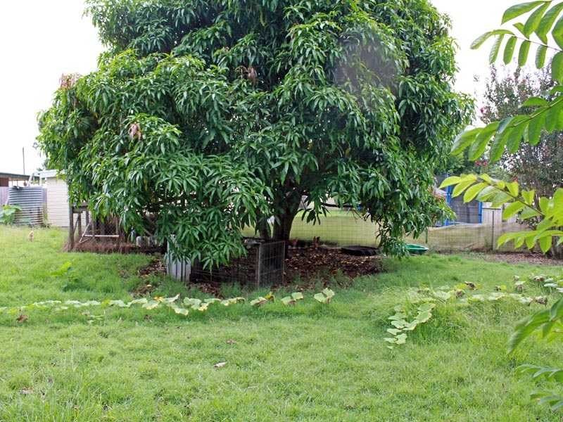 94 Edgar Street, Frederickton NSW 2440