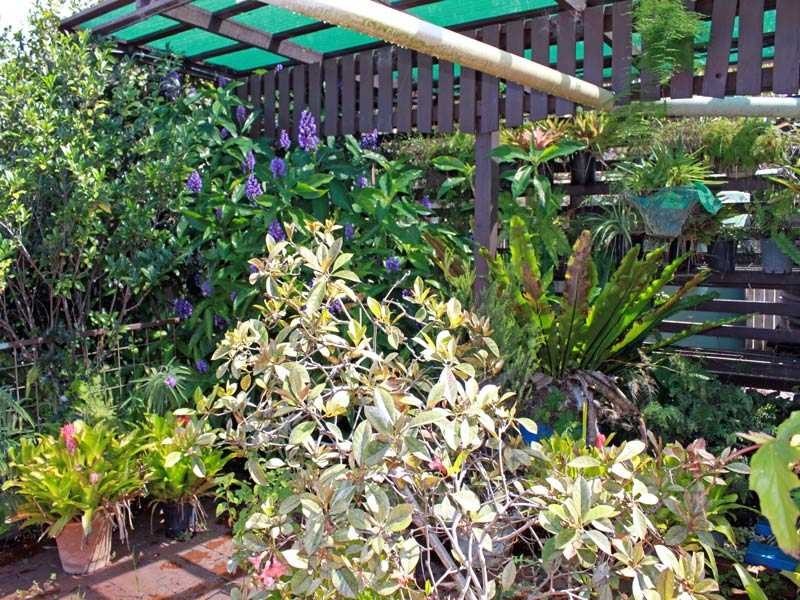 15 Seventh Avenue, Stuarts Point NSW 2441