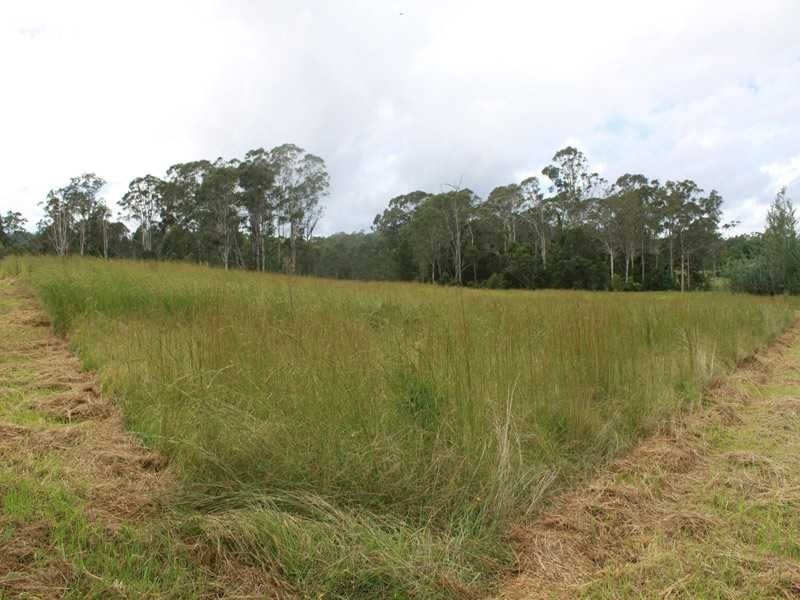 624 Mungay Creek Road MUNGAY CREEK VIA, Kempsey NSW 2440