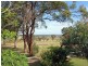 172 Everinghams Lane, Frederickton NSW 2440