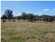 172 Everinghams Lane, Frederickton NSW 2440