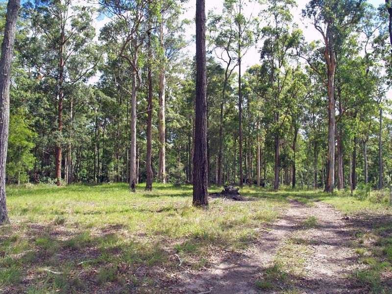 Lot 2 Link Road, Kundabung NSW 2441