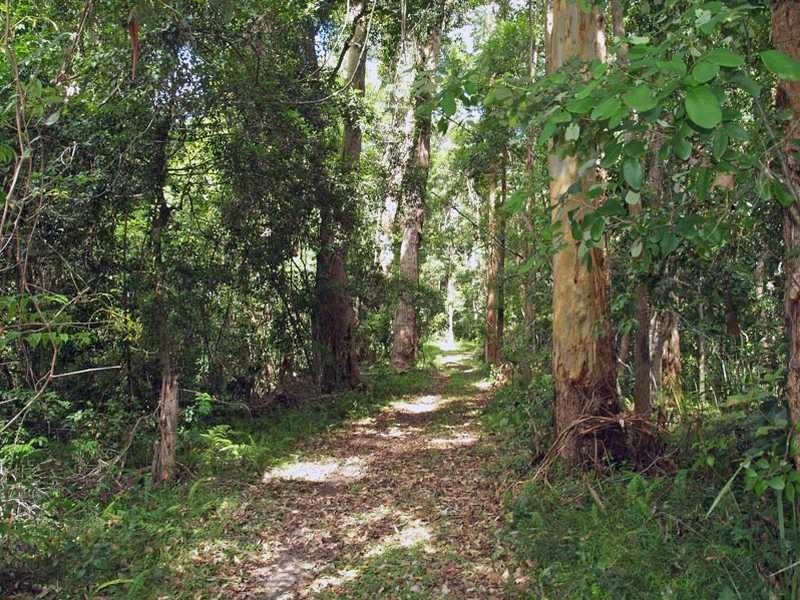 Lot 2 Link Road, Kundabung NSW 2441