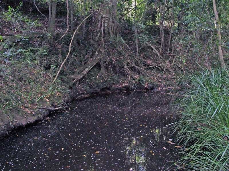 Lot 2 Link Road, Kundabung NSW 2441