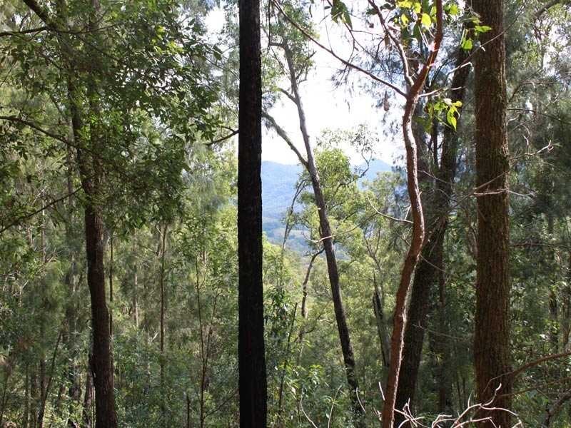 75 Yahoo Road, Bellbrook NSW 2440