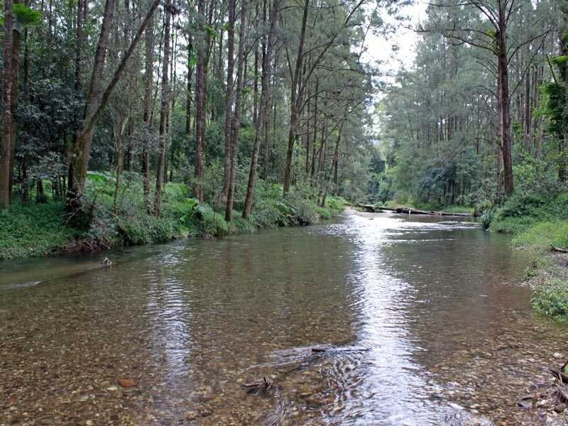 75 Yahoo Road, Bellbrook NSW 2440