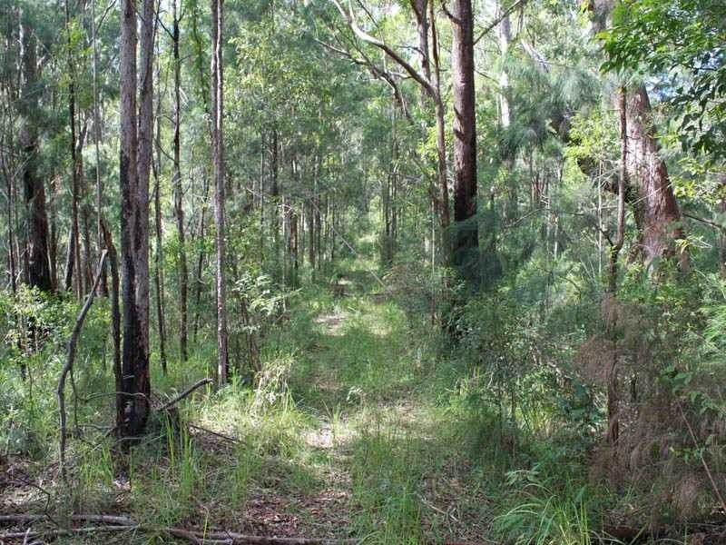 75 Yahoo Road, Bellbrook NSW 2440