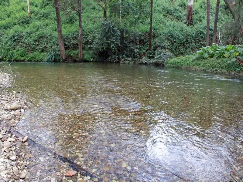 75 Yahoo Road, Bellbrook NSW 2440