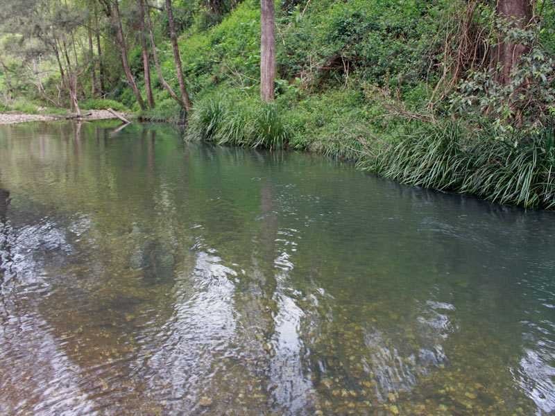 75 Yahoo Road, Bellbrook NSW 2440