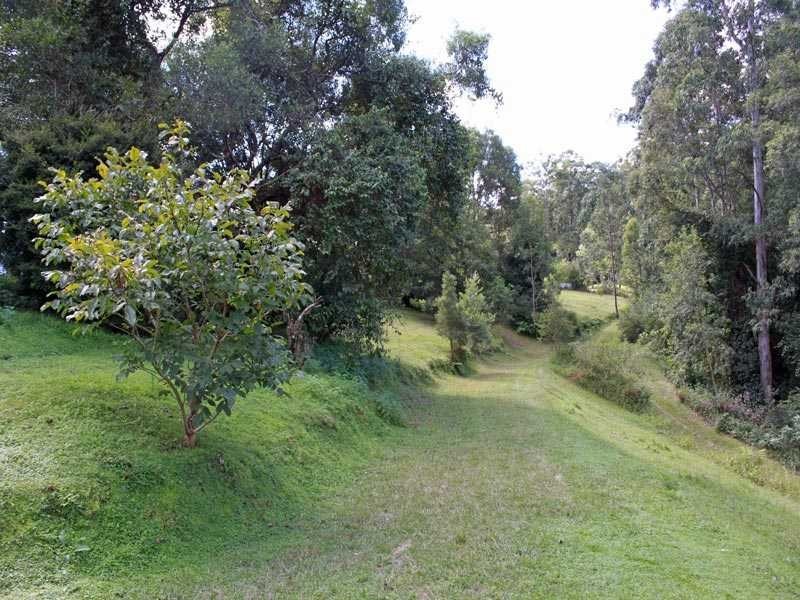 75 Yahoo Road, Bellbrook NSW 2440