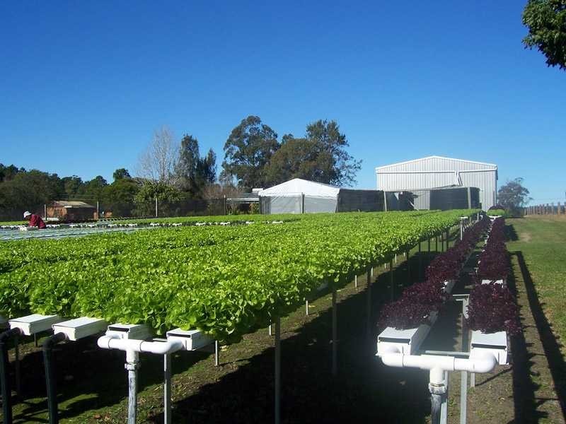 83 Sherwood Road, Aldavilla NSW 2440