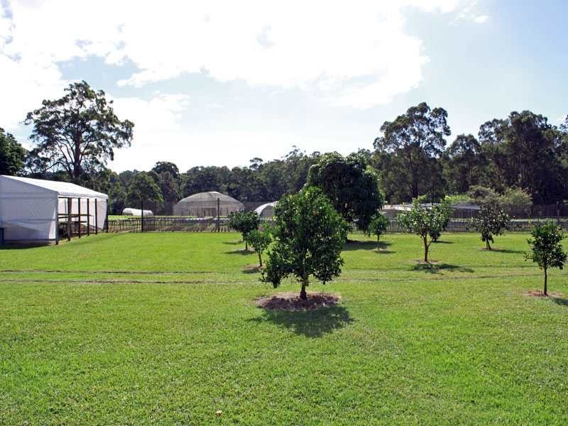 83 Sherwood Road, Aldavilla NSW 2440