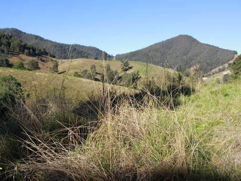 4096 Armidale Road, Bellbrook NSW 2440