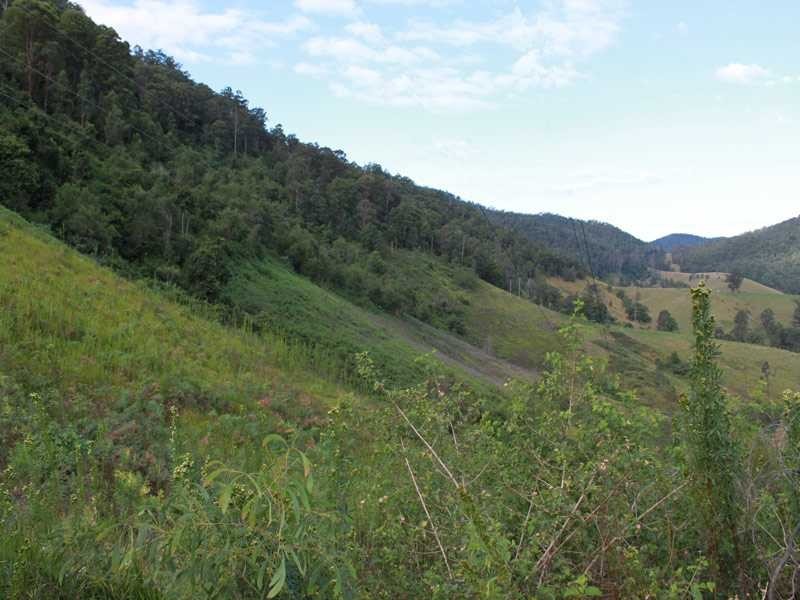 4096 Armidale Road, Bellbrook NSW 2440