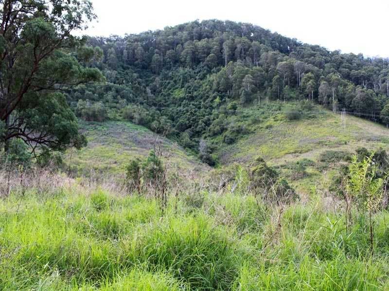 4096 Armidale Road, Bellbrook NSW 2440