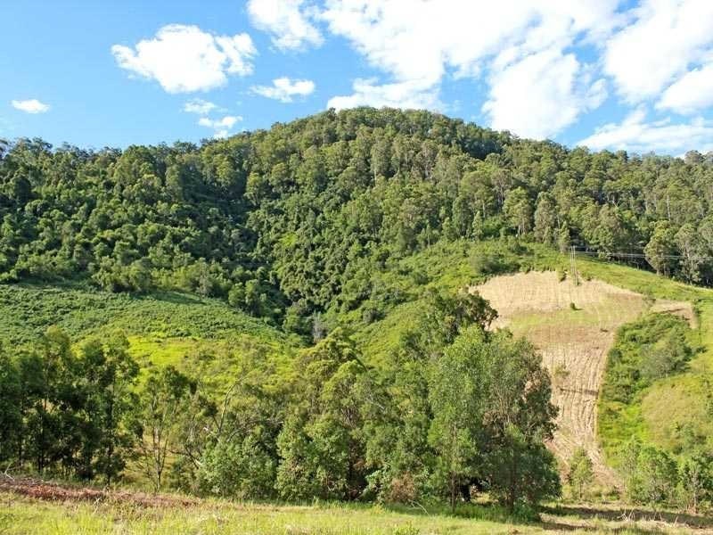 4096 Armidale Road, Bellbrook NSW 2440