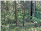 32 Earth First Road, Mungay Creek NSW 2440