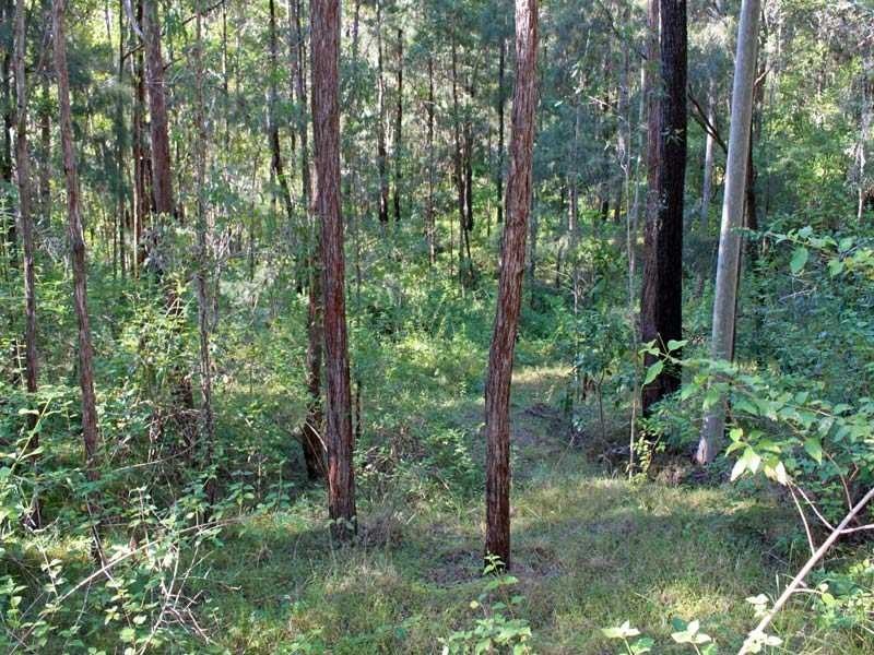 32 Earth First Road, Mungay Creek NSW 2440