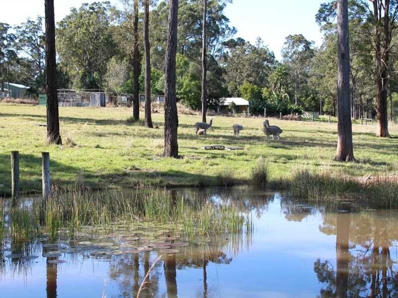 207 Spooners Avenue, Greenhill NSW 2440