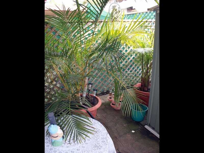 28/15-17 River Street, Kempsey NSW 2440