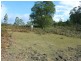 Lot 5 Long Flat Creek Road, Wittitrin NSW 2440