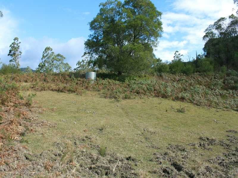 Lot 5 Long Flat Creek Road, Wittitrin NSW 2440