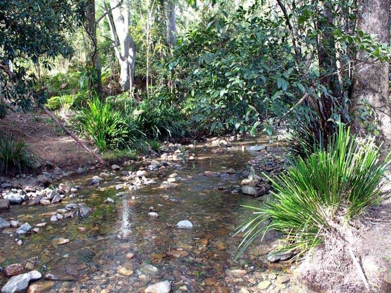 Lot 5 Long Flat Creek Road, Wittitrin NSW 2440
